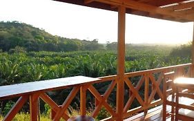 Cabana Tolle Vista